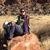Claudia Mitchell's profile image