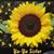 Gail O'Hagan Sauer's profile image