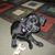 Sean Duncanson's profile image
