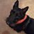 Aggie Clark's profile image