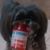 Mary L. Millen's profile image