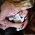 Kate Hammerquist's profile image