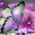 Patricia Benalcazar's profile image