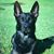 Tamee Peterson-Ruderman's profile image