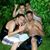 Ricardo Reynoso's profile image