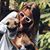 Shauna Marie's profile image