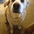 Tina Lowe's profile image