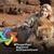 Tracy Jones-Weaver's profile image