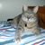 Paula Alvarez's profile image