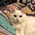 Amie Marie Holloway's profile image