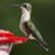 Joanne Ater's profile image