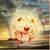 Polo De Sanchapp's profile image