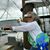 Daeanne DiCenzo's profile image