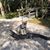 Doreen Rioux's profile image