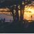 Donna Hafter's profile image