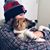 Jennings Huitt's profile image