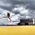 Rachel Hoath's profile image