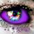 Darcy Boerner's profile image