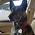 Cynthia Beachem's profile image