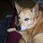 buffy1's profile image