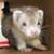 Scott Eggert's profile image