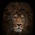 JJ Pitre's profile image