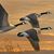 David N Mel Mumma's profile image