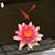 Trina Kopacka's profile image