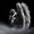 Terri Deese's profile image