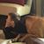Amy Salyers's profile image