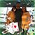 Cathi Cotti's profile image