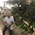 Oliver McKenzie's profile image