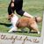 Sonya Streeper's profile image