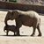 Cynthia Edwards's profile image