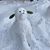 Liz Haugen's profile image