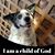 Sheila Parham's profile image