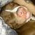 Luna Puppie's profile image