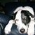 Donna Grieve's profile image