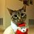 Shellie Mckinney's profile image