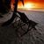 Cindi Lindsey's profile image