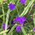 Char Simkins's profile image