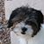 Dawn Binder's profile image