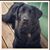 Frank Grigsby's profile image