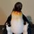 Rose Sharp's profile image