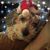 Anne Cromell's profile image