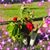 Nina Mcdade's profile image