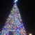 Flres Freddy Flores's profile image