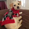 Kathrine S.'s profile image