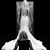 Stephen Rhoades's profile image