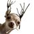 Lucy Sorensen's profile image